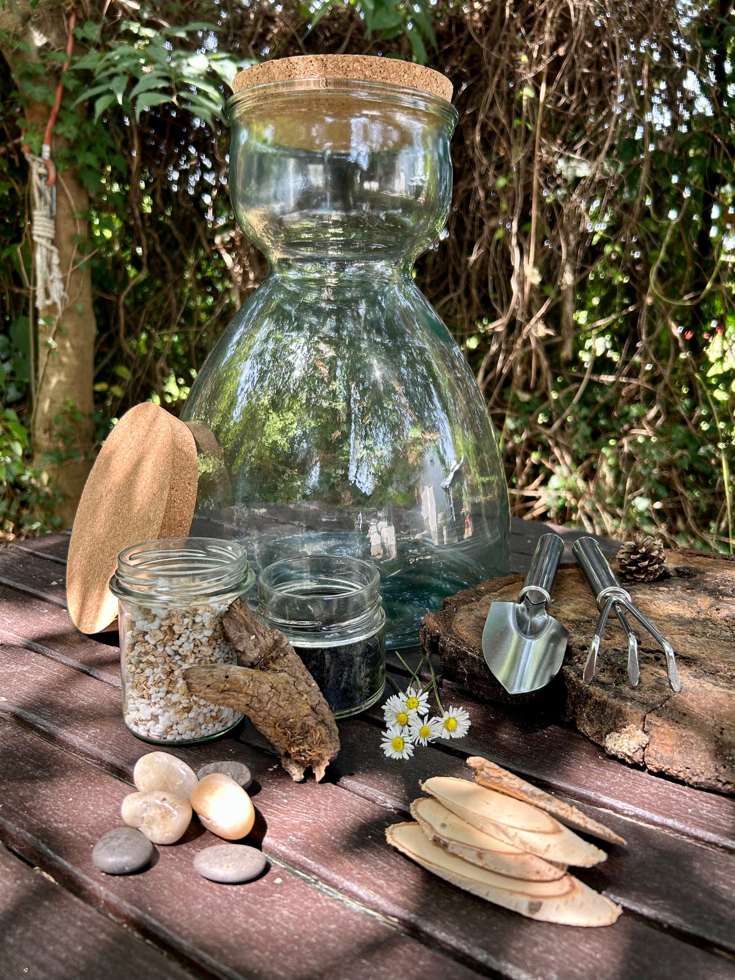 Kit terrarium